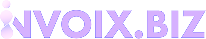 Invoix.biz Logo